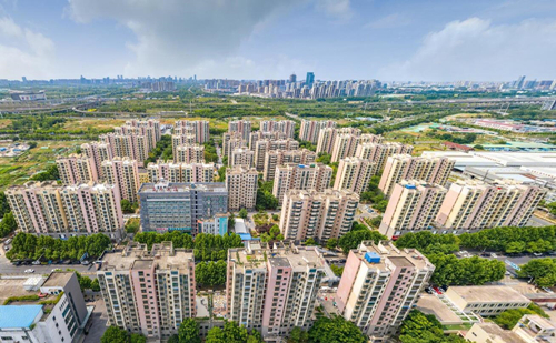 ���ż��Ż����ƽ��Ͼ�С��������